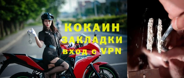 индика Балахна