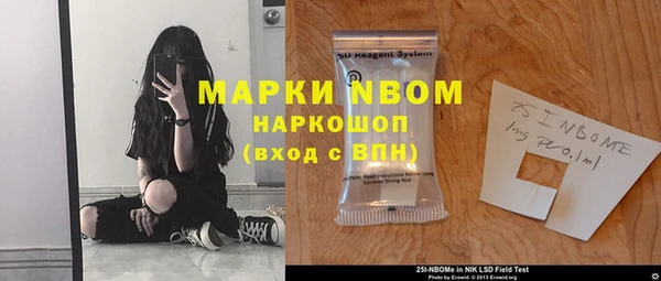 индика Балахна