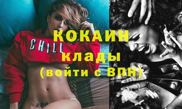 индика Балахна