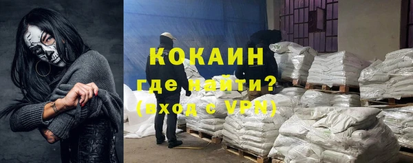 индика Балахна