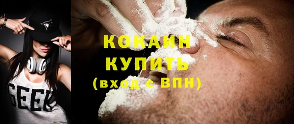 индика Балахна