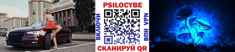 Купить где  Артёмовск  Галлюциногенные грибы GOLDEN TEACHER 